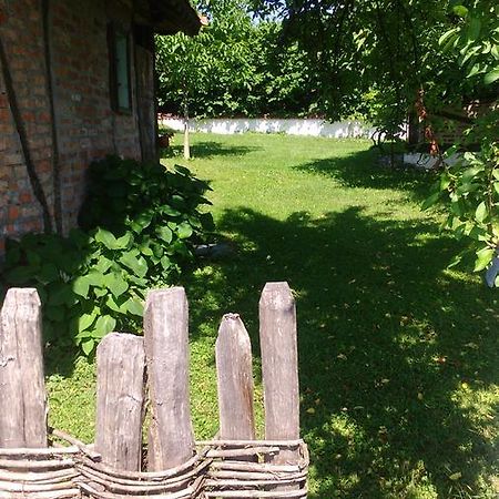 Lodge Morava Vrnjačka Banja Zewnętrze zdjęcie