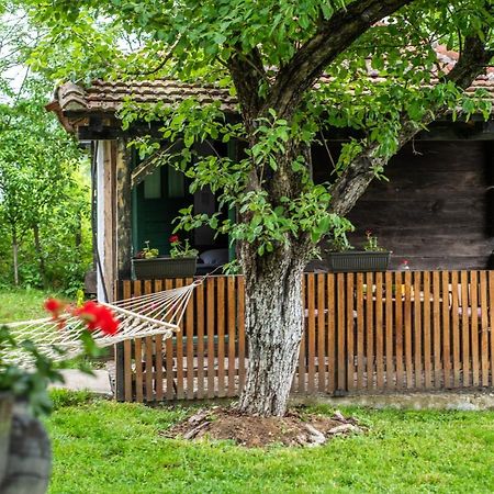 Lodge Morava Vrnjačka Banja Zewnętrze zdjęcie