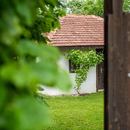 Lodge Morava Vrnjačka Banja Zewnętrze zdjęcie