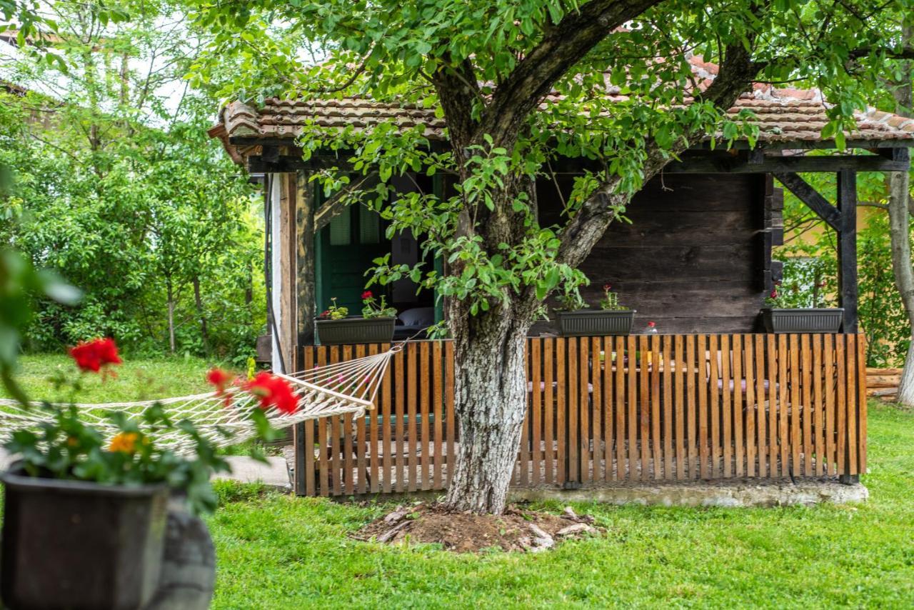 Lodge Morava Vrnjačka Banja Zewnętrze zdjęcie