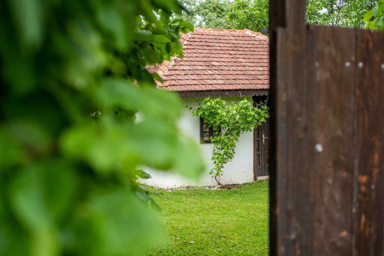 Lodge Morava Vrnjačka Banja Zewnętrze zdjęcie