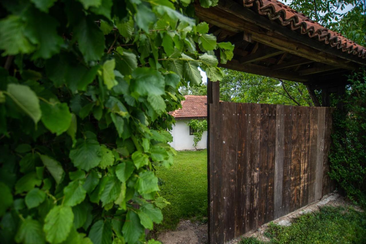Lodge Morava Vrnjačka Banja Zewnętrze zdjęcie
